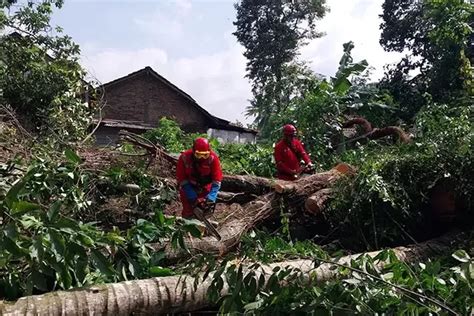 Hujan Angin Akibatkan Pohon Tumbang Banjir Dan Longsor Di Berbagai