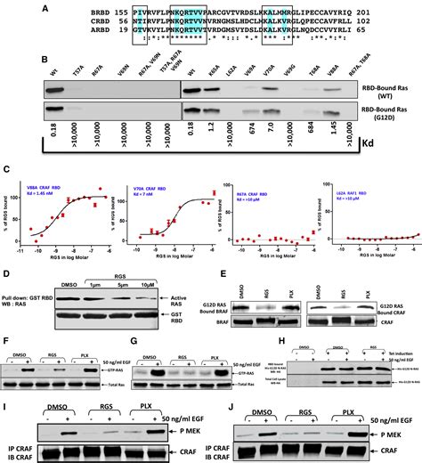 A Small Molecule Ras Mimetic Disrupts Ras Association With Effector