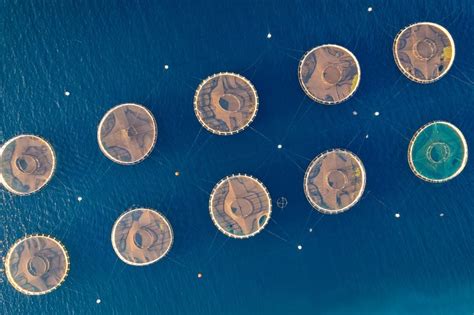 Aquaculture Stewardship Council Asc On Linkedin Alignment Asc Farm