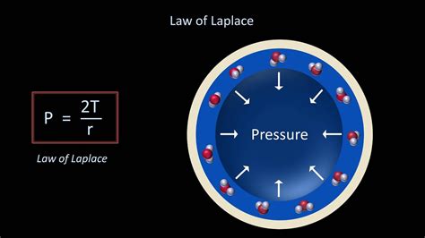 Surface Tension And Surfactant Fluid Mechanics Lesson Youtube