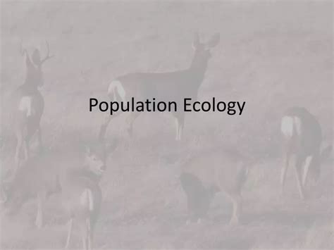 Ppt Population Ecology Powerpoint Presentation Free Download Id1969027