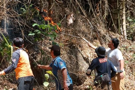 Jalur Pendakian Gunung Budheg Ditutup Imbas Kebakaran Hutan