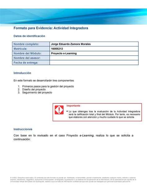 Formato Ejercicios Formato Para Evidencia Actividad Integradora