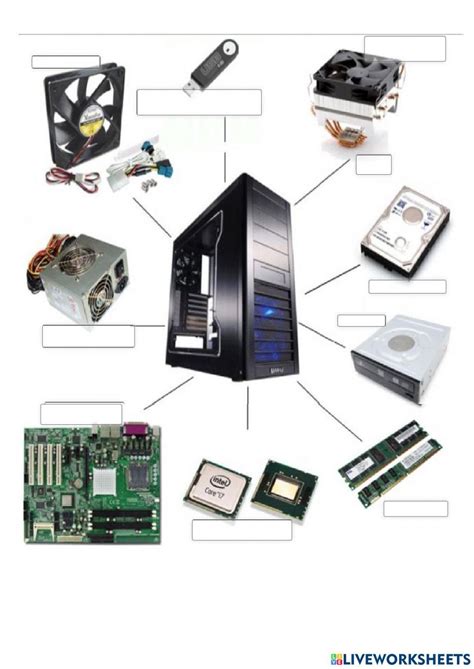 Partes Internas De La Cpu Worksheet Hardware De Computadora Ciencias