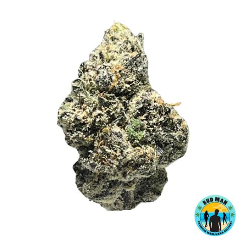 Maui Wowie 33 1 THC Premium Bud Man Orange County Dispensary Delivery