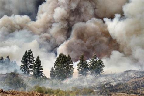 El Humo De Los Incendios Forestales Favorece La Propagación Del