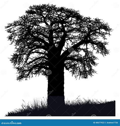 Silhouette Of A Baobab Tree Stock Illustration - Image: 40677923