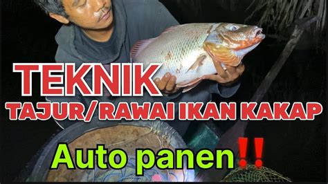 Auto Panen Ikan Mancing Dengan Teknik Tajur Rawai Gantung Di Spot