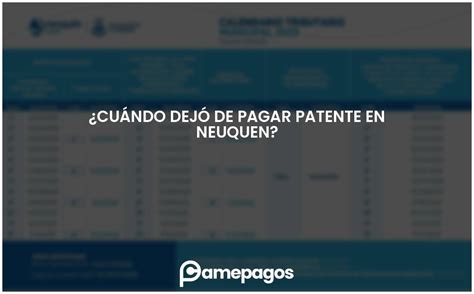 Cu Ndo Dej De Pagar Patente En Neuquen Actualizado