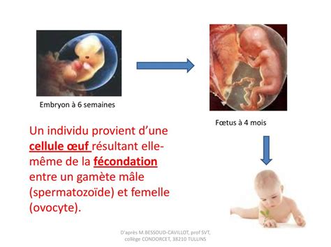 D Apr S M Bessoud Cavillot Prof Svt Coll Ge Condorcet Tullins Ppt