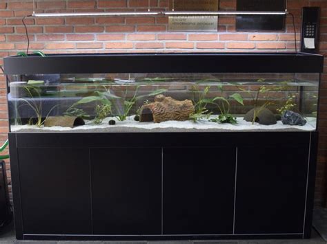 Ein großes Aquarium für unsere Axolotl Hamburger Tierschutzverein von