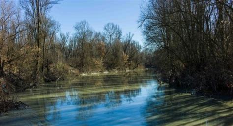 Calderara Di Reno Rinasce La Golena Di San Vitale Bologna24ore It