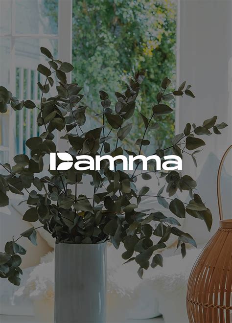 Ibni Studio