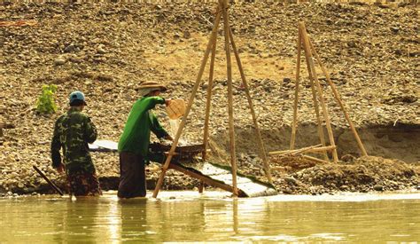 Chindwin River In Myanmar Rainforest Cruises