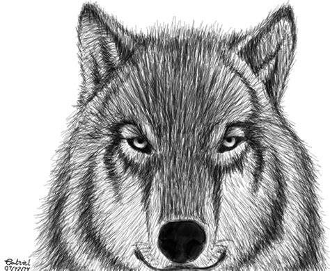 270 Ideias De Desenho Lobo Wolf Drew Em 2022 Desenho De Lobos Pdmrea