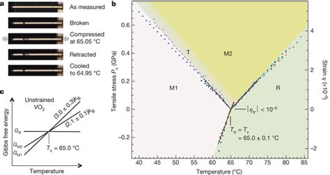 Phase Diagram Of Vo2 A The Transition Temperature Tc At Zero Stress Download Scientific