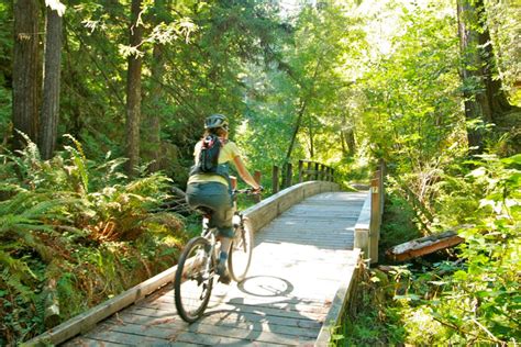 Weekend Sherpa: Bike Ride Fern Canyon Trail - 7x7 Bay Area