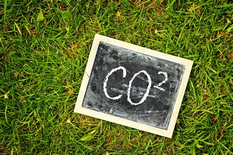 Parliamentary committee concerned over CO2 supply