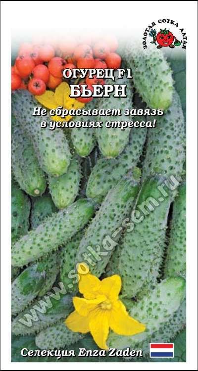 Золотая сотка алтая