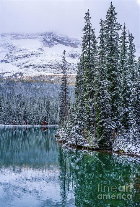 Lake OHara Winter Lakescape Photograph by Mike Reid | Fine Art America