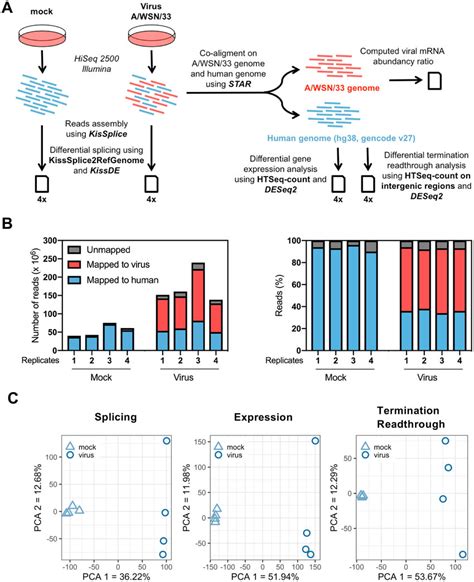 Rna Seq Pca