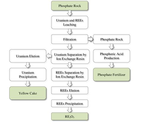 Proposed Flow Sheet For Direct Rare Earth Element Rees And Uranium