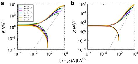 Finite Size Scaling In Scale Free Graphs We Analyze The Same Networks