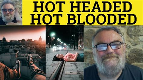 Hot Headed Vs Hot Blooded Meaning Hot Blooded Or Hotheaded Examples Hot Headed Hot Blooded
