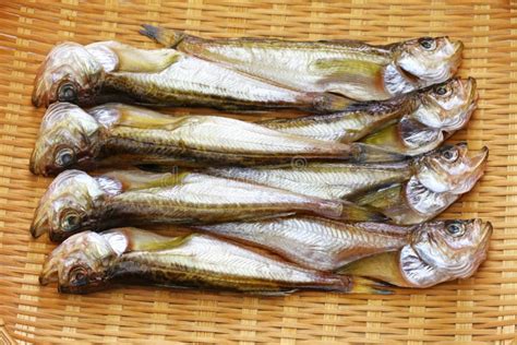 Himono Japanese Dried Fish Stock Image Image Of Dried Himono 111968173