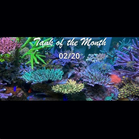 Tank Of The Month Totm Februar Ghl Advanced Technology