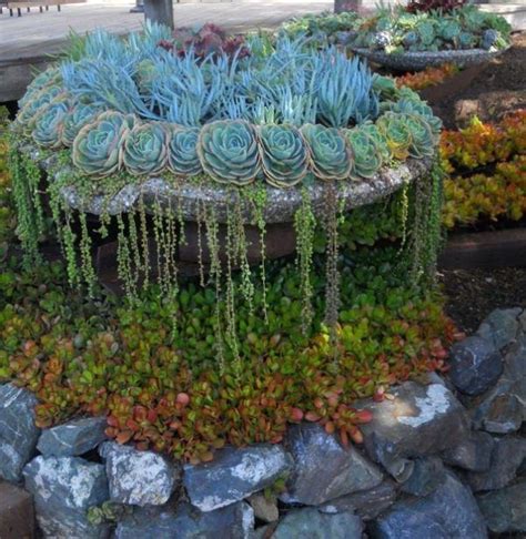 Sukkulenten Stadt Unterwegs Ideen Farbig Bl Mig Succulent Gardening