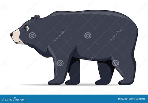 Himalayan Bear Animal Standing On A White Background Stock Illustration