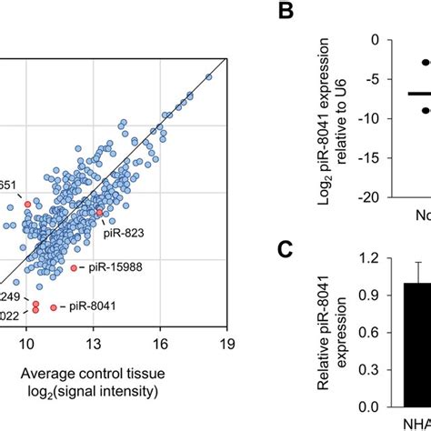 PiRNA Expression Profiling Results And Confirmation Of PiR 8041