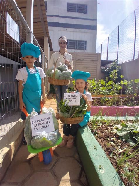 Quem Planta E Cuida Colhe Escola Professor Jairo Grossi