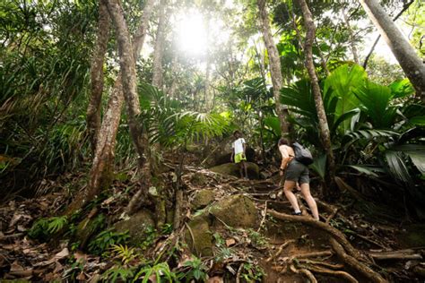 A Perfect Stay on Mahé Island, Seychelles: Hiking, Diving, Sightseeing ...