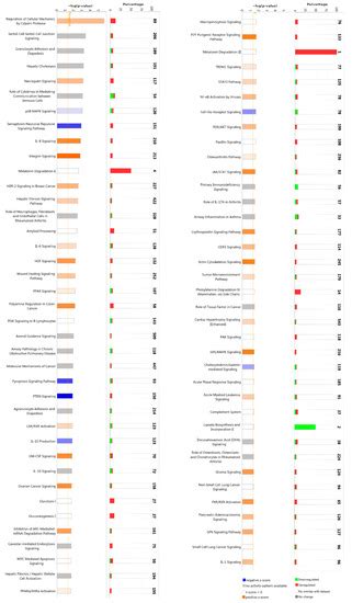 Ijms Free Full Text Role And Dysregulation Of Mirna In Patients