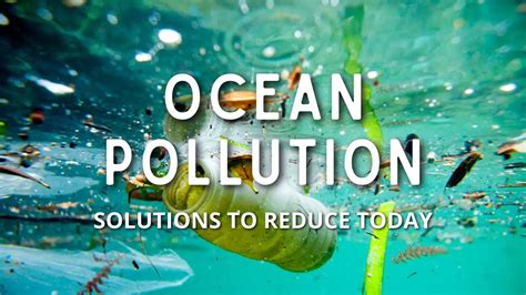 7 Solutions To Reduce Ocean Pollution Today