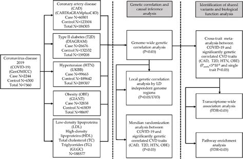 Frontiers Identifying Shared Genetic Loci Between Coronavirus Disease