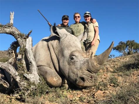 The Rhino Hunt Got Hunts Rhino Hunting Reort