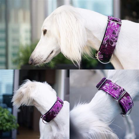 Martingale Collar Greyhound Collar Handmade Dog Collar Aftcra