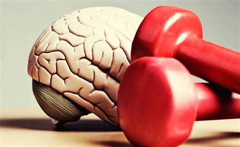 Unbelievable Effects Of Exercise On The Brain Healthdigezt