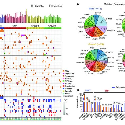 Genetic Alteration Landscape Of Asian Pediatric Medulloblastoma