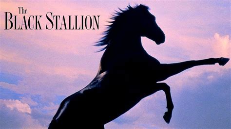 The Black Stallion: Official Clip - The Sinking Ship - Trailers ...