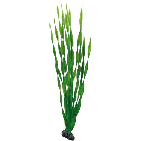 Hobby Vallisneria Cm Plante En Plastique Pour Aquariums