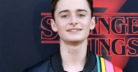 Noah Schnapp Recalls Coming Out As Gay Twins Reaction