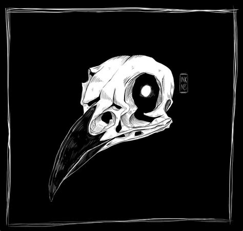 crow skull  inknes  deviantart