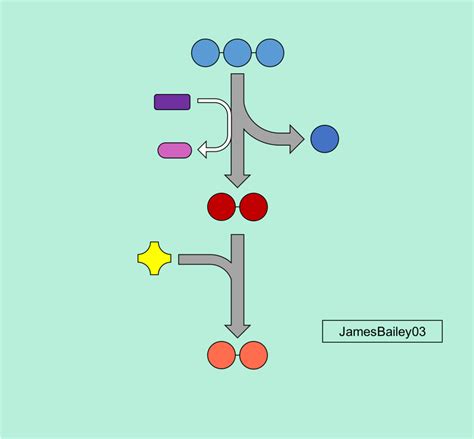 The Link Reaction Diagram Quizlet