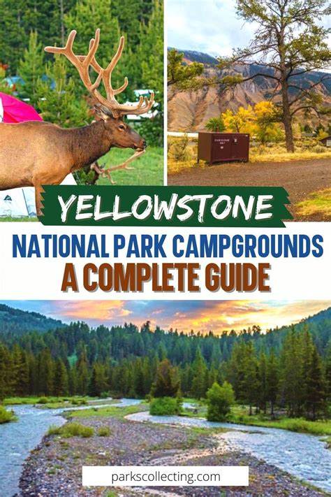 Complete Guide To The Best Camping In Yellowstone National Park Artofit