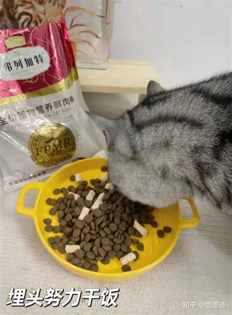 猫咪每天吃多少猫条合适？该怎么喂养？ 知乎