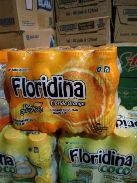 Floridina Orange Ml Pack Isi Botol Minuman Jeruk Lazada